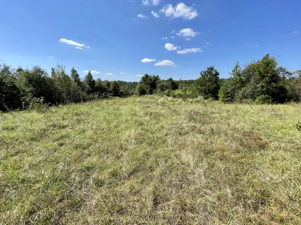 0 Bridlepath Road Jackson AL 36545