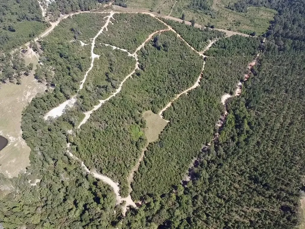 0 Bridlepath Road Jackson AL 36545