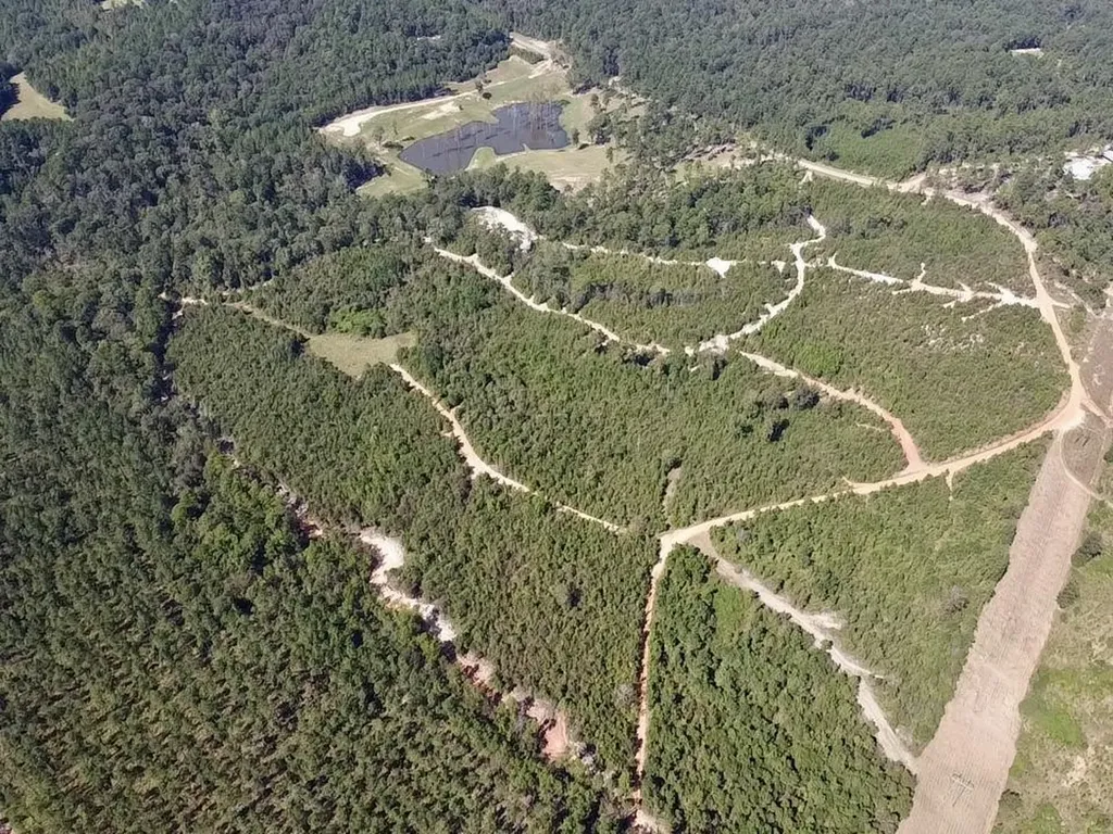 0 Bridlepath Road Jackson AL 36545