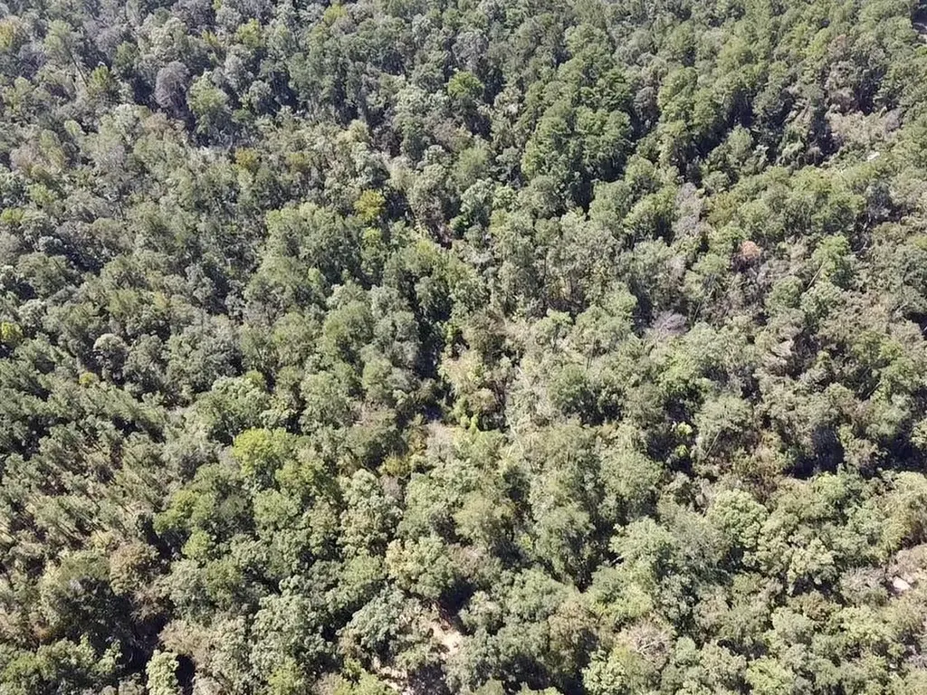 0 Bridlepath Road Jackson AL 36545