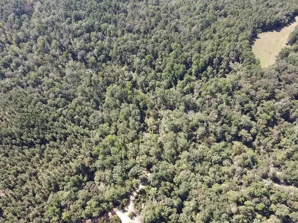 0 Bridlepath Road Jackson AL 36545