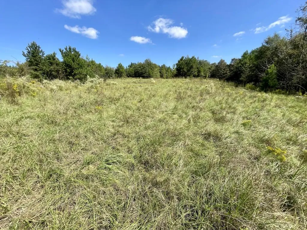 0 Bridlepath Road Jackson AL 36545