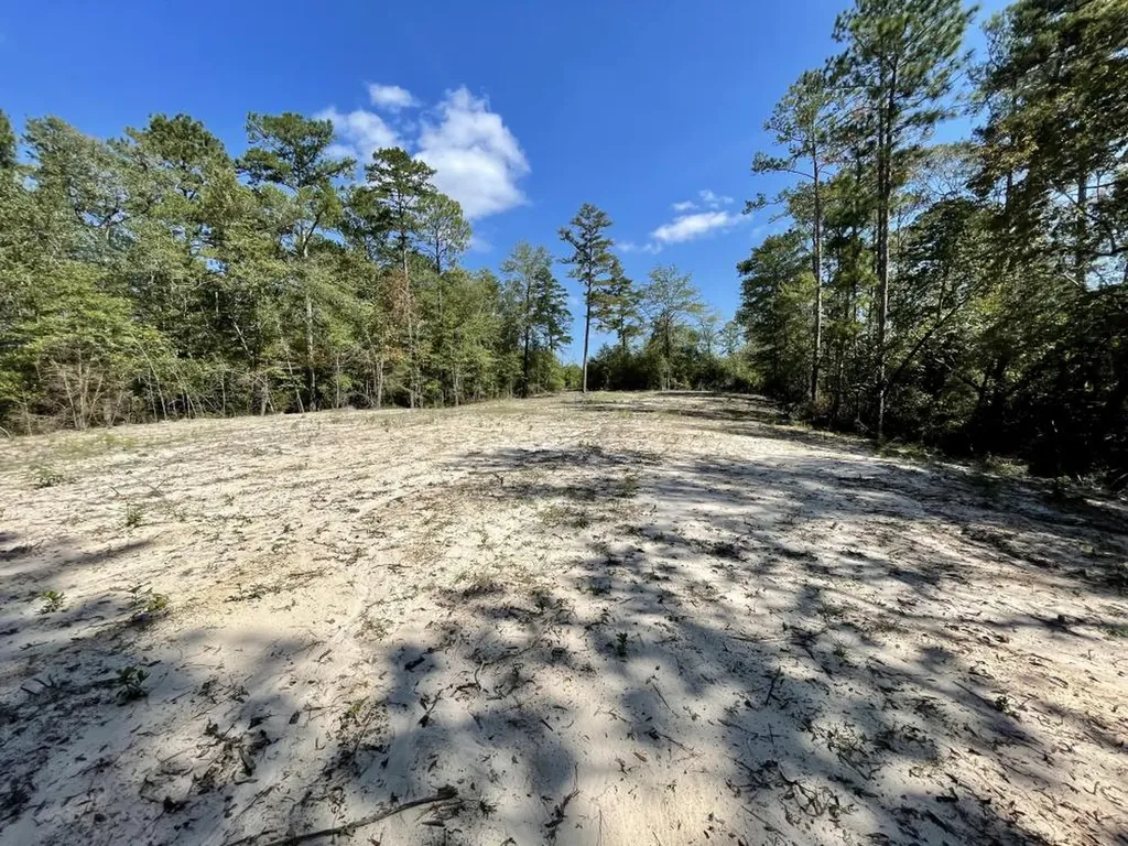 0 Bridlepath Road Jackson AL 36545