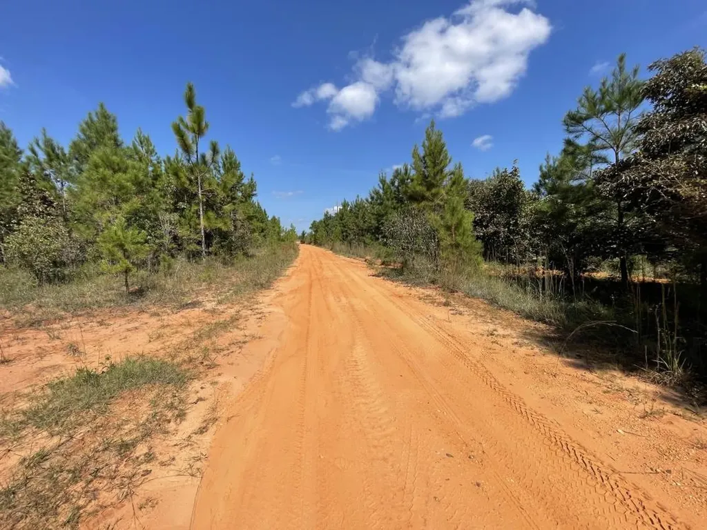 0 Bridlepath Road Jackson AL 36545