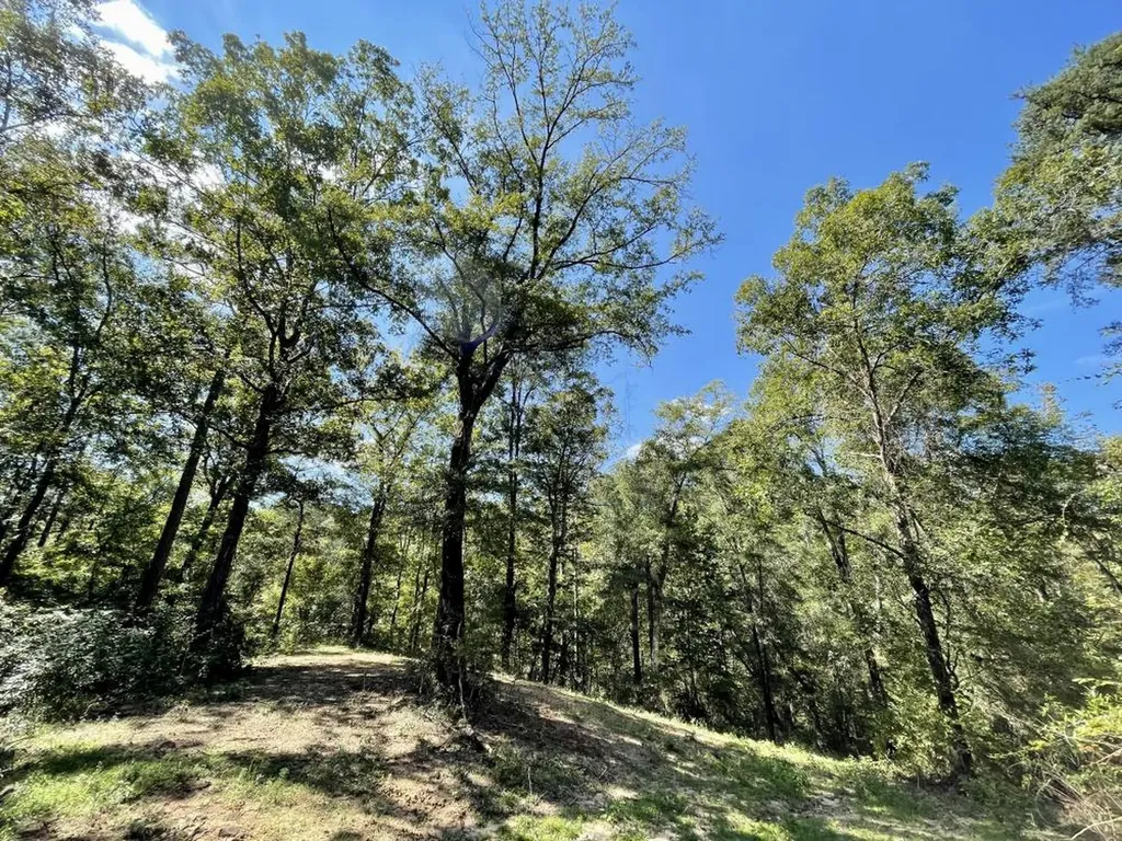 0 Bridlepath Road Jackson AL 36545