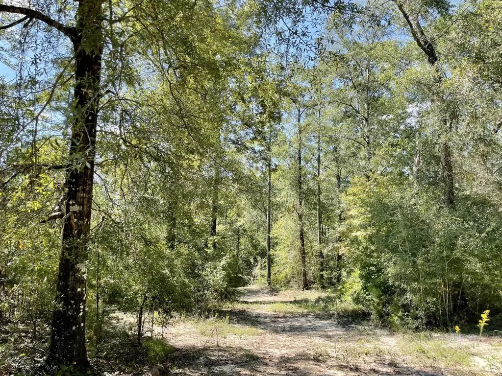 0 Bridlepath Road Jackson AL 36545