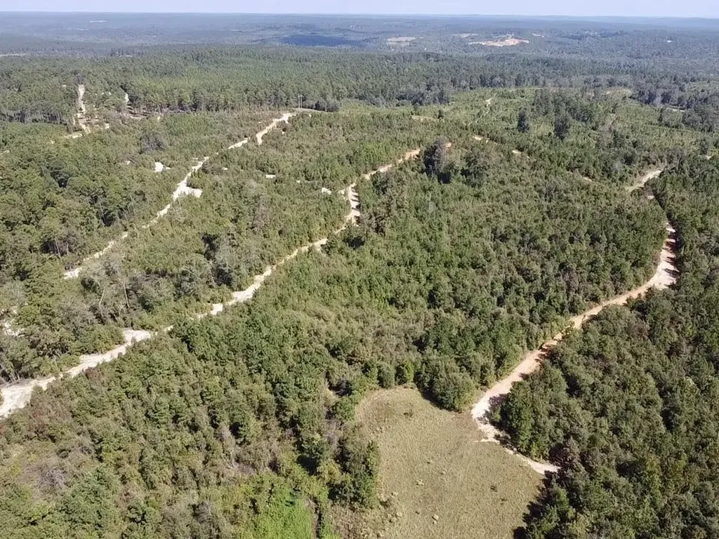 0 Bridlepath Road Jackson AL 36545