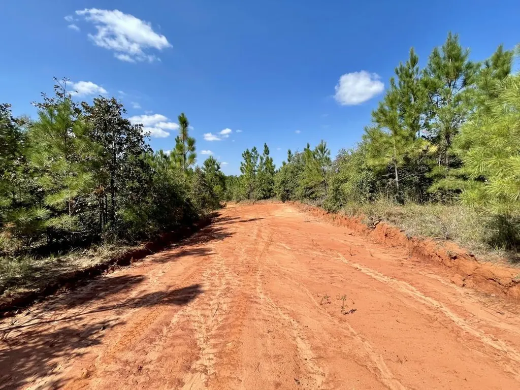 0 Bridlepath Road Jackson AL 36545