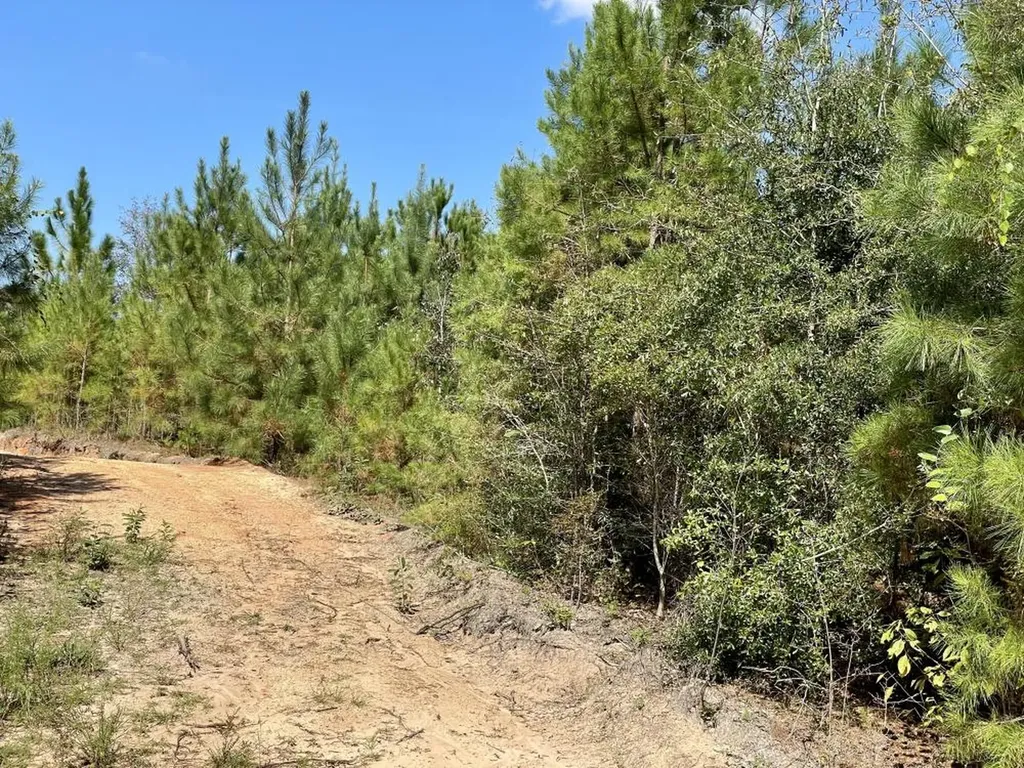 0 Bridlepath Road Jackson AL 36545