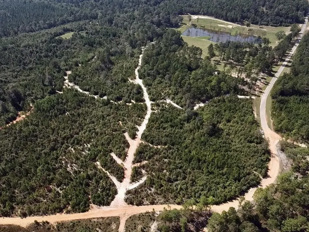 0 Bridlepath Road Jackson AL 36545