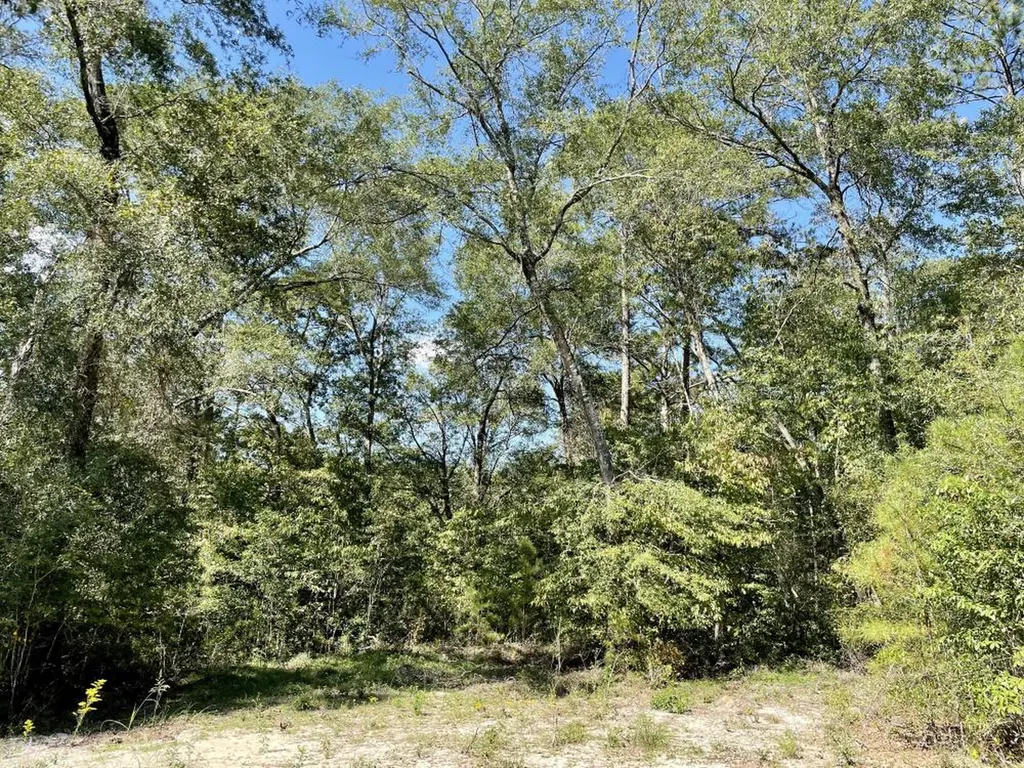 0 Bridlepath Road Jackson AL 36545