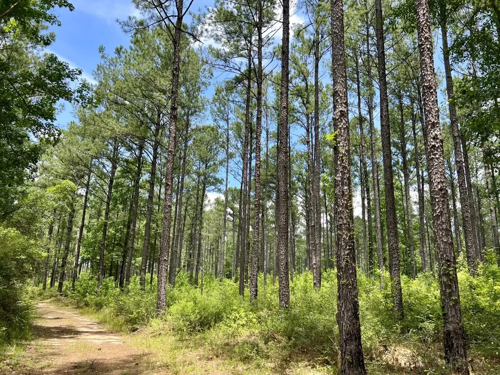 0 Highway 59 Stockton AL 36507