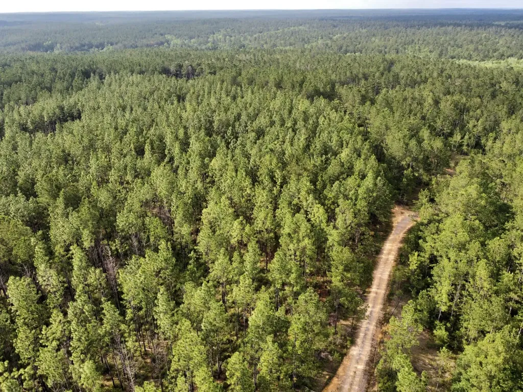 0 Highway 59 Stockton AL 36507