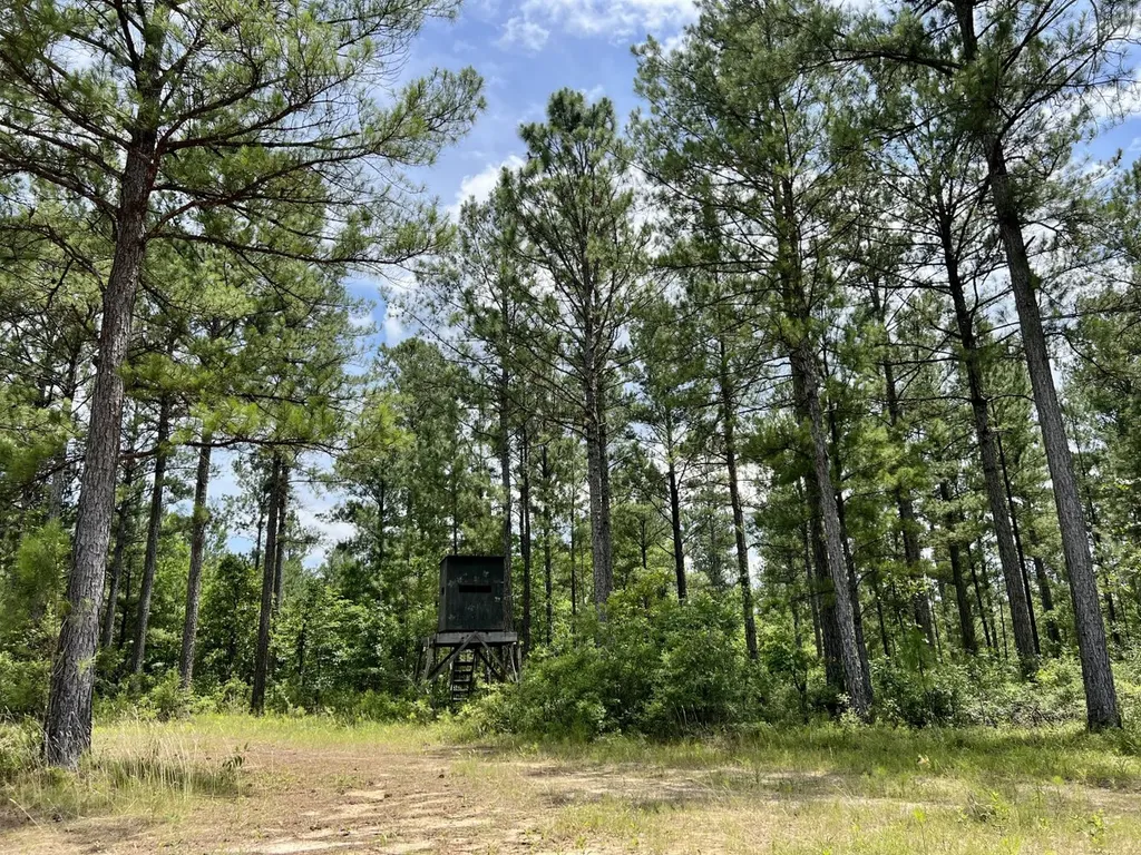 0 Highway 59 Stockton AL 36507