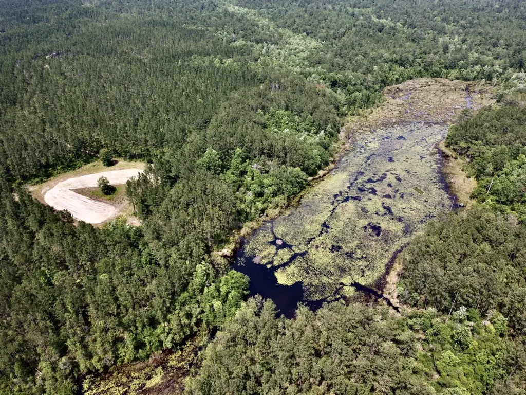 0 Highway 59 Stockton AL 36507