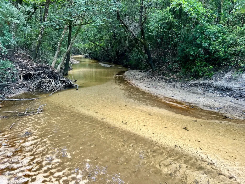 0 Highway 59 Stockton AL 36507