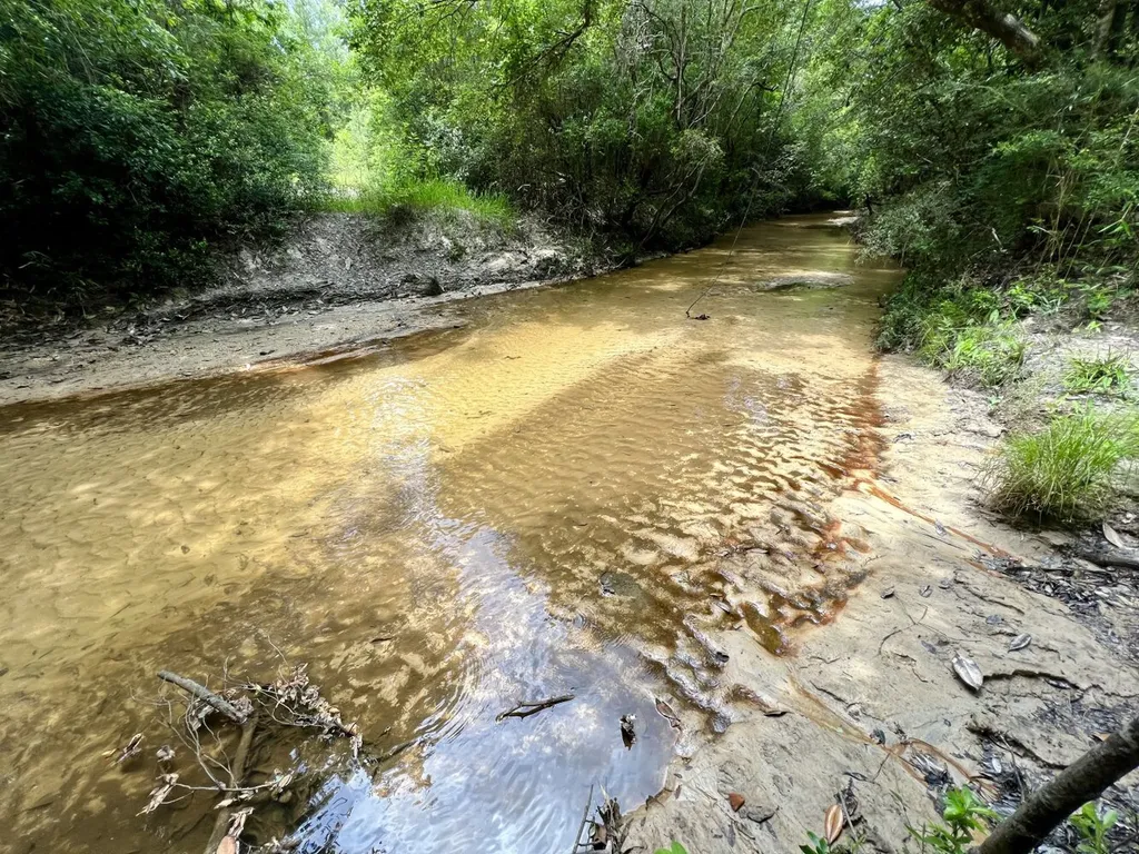 0 Highway 59 Stockton AL 36507