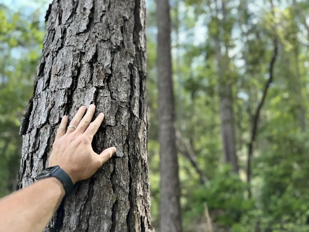 0 Highway 59 Stockton AL 36507