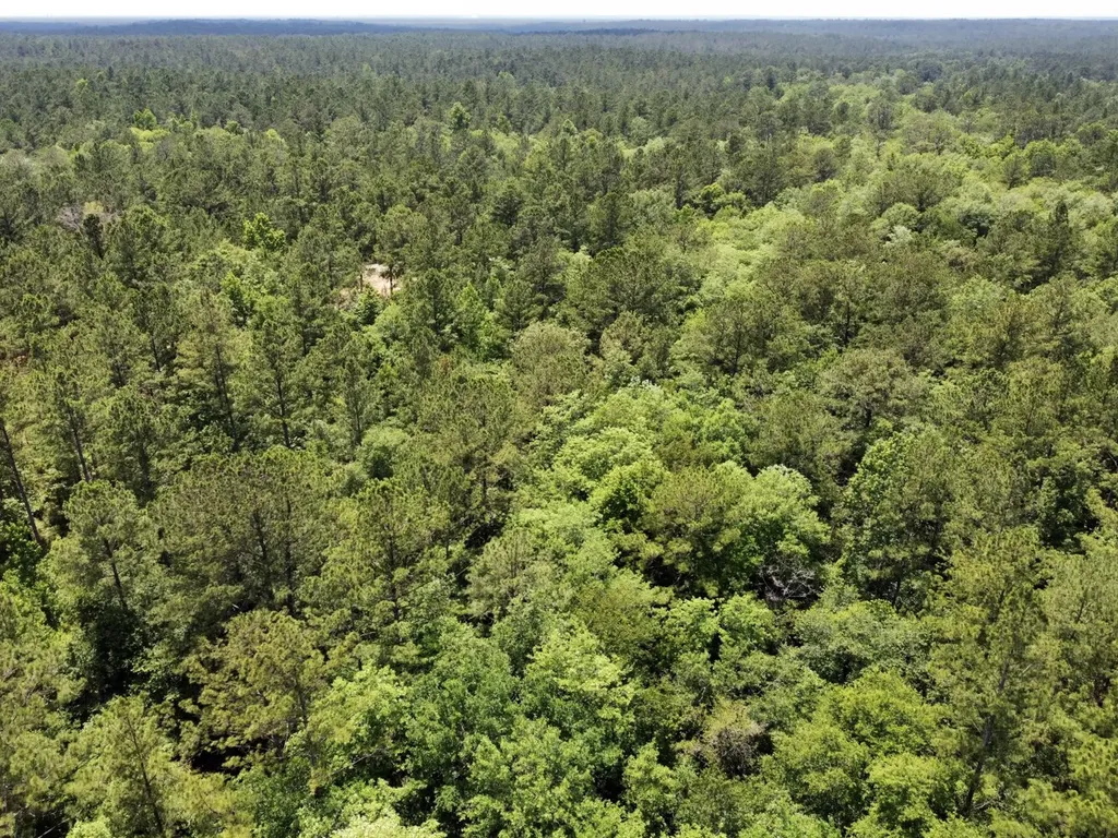 0 Highway 59 Stockton AL 36507