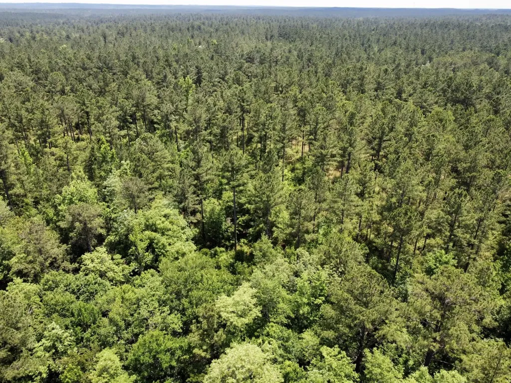 0 Highway 59 Stockton AL 36507