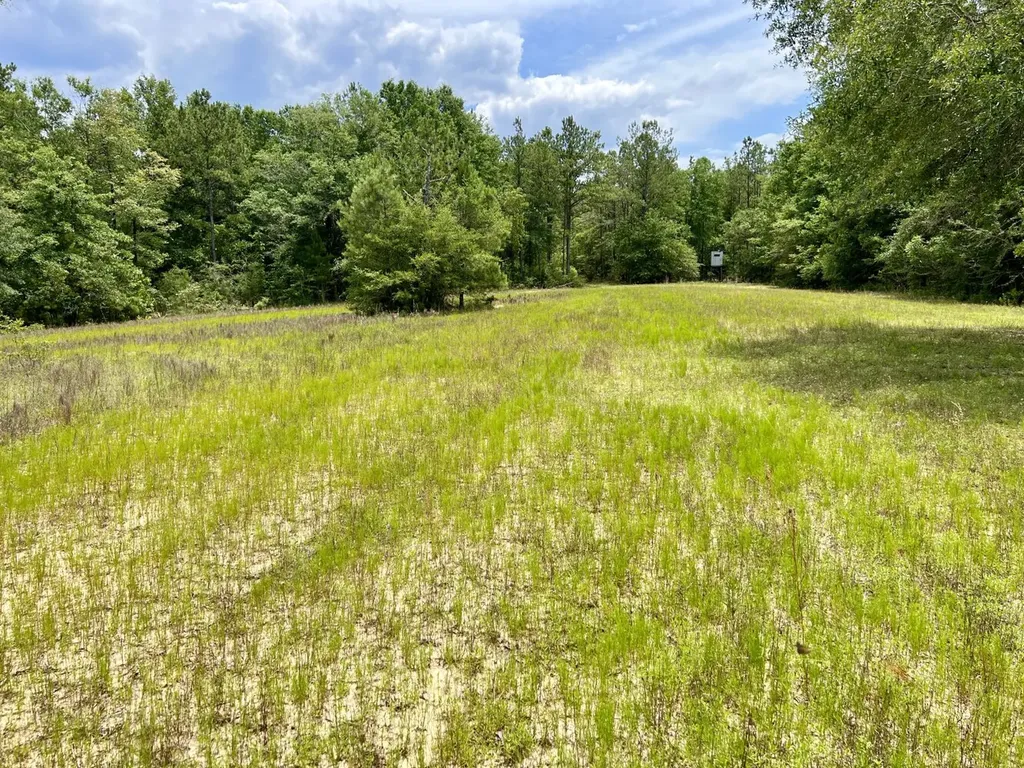 0 Highway 59 Stockton AL 36507