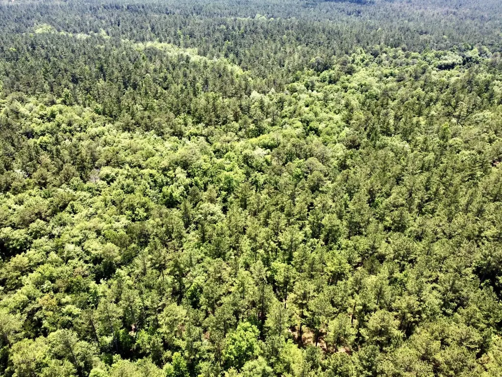 0 Highway 59 Stockton AL 36507