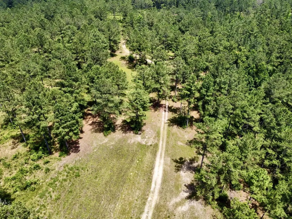 0 Highway 59 Stockton AL 36507