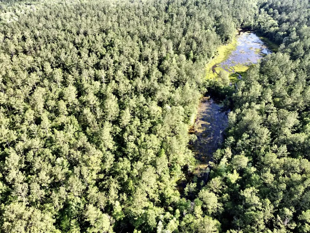 0 Highway 59 Stockton AL 36507