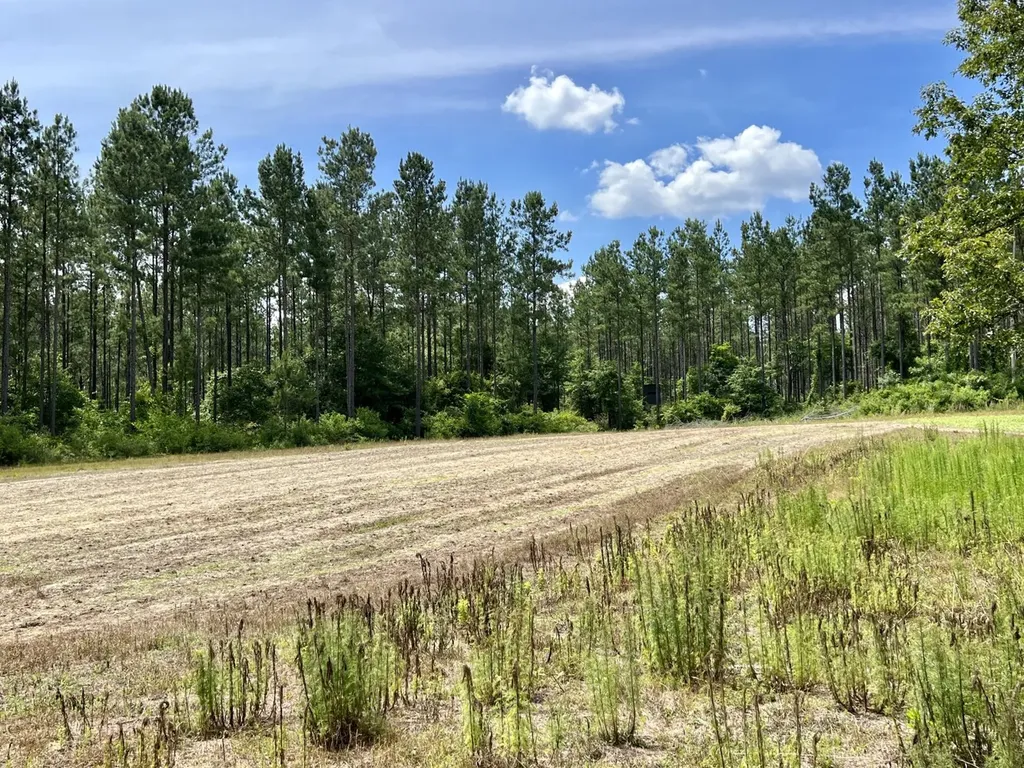 0 Highway 59 Stockton AL 36507