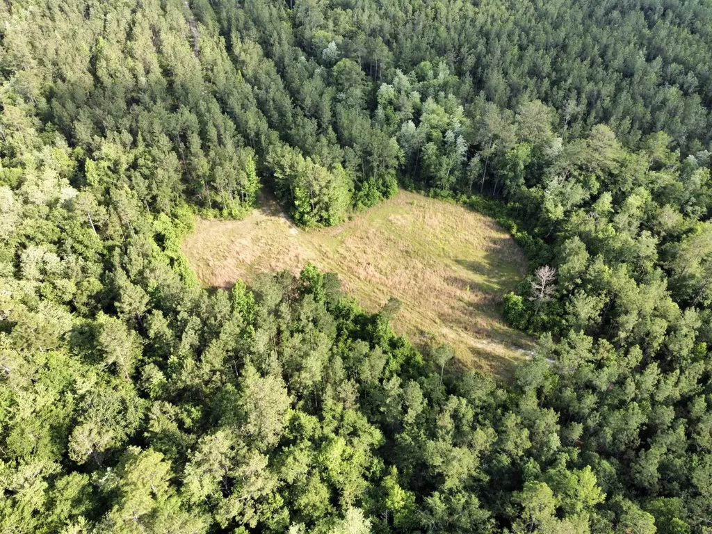 0 Highway 59 Stockton AL 36507