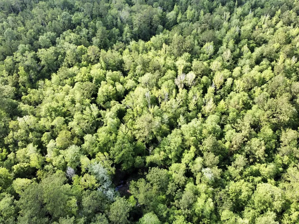 0 Highway 59 Stockton AL 36507