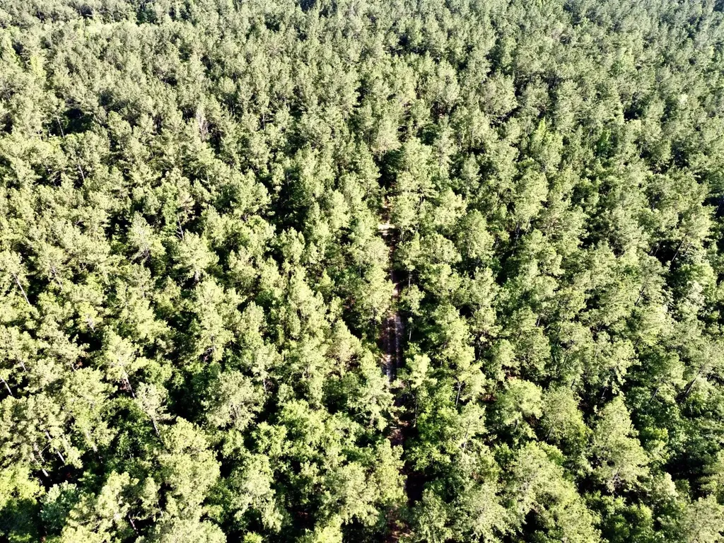 0 Highway 59 Stockton AL 36507