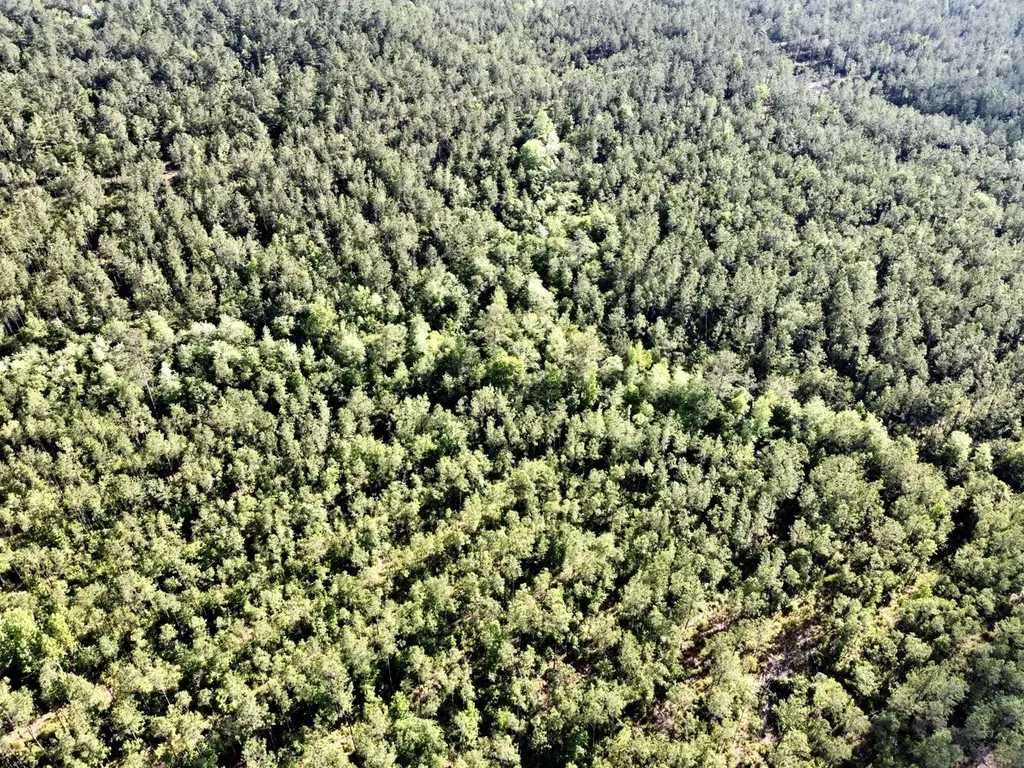 0 Highway 59 Stockton AL 36507