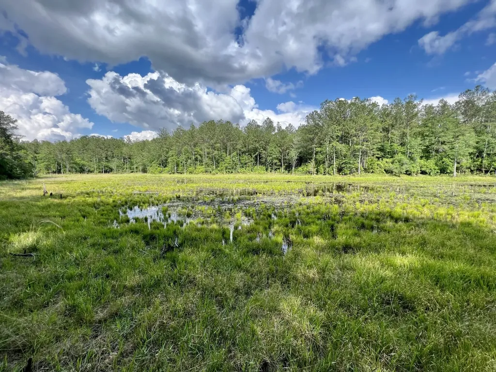 0 Highway 59 Stockton AL 36507