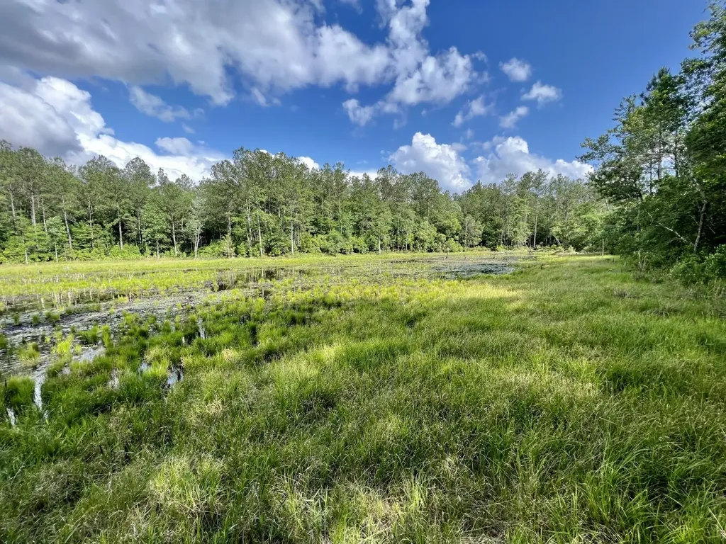 0 Highway 59 Stockton AL 36507