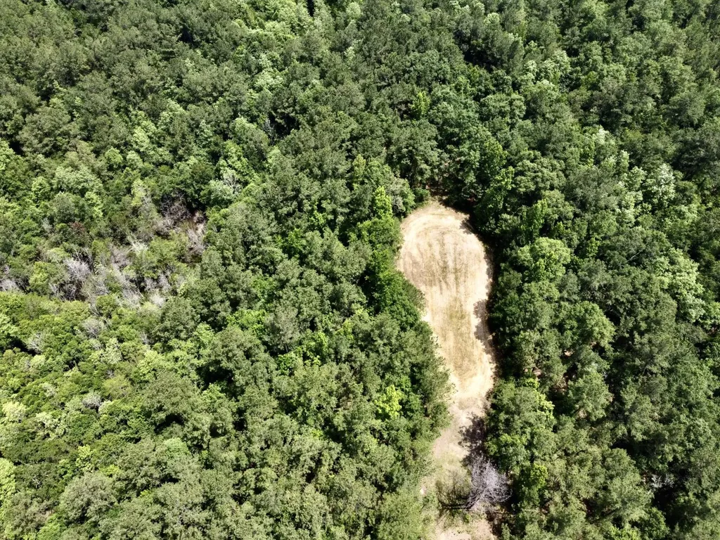 0 Highway 59 Stockton AL 36507