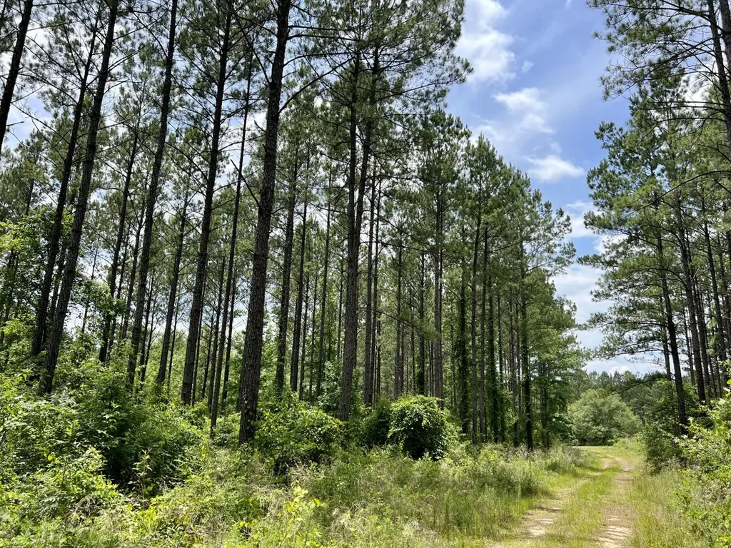 0 Highway 59 Stockton AL 36507