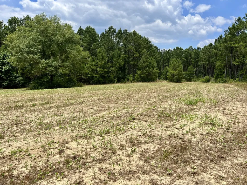 0 Highway 59 Stockton AL 36507