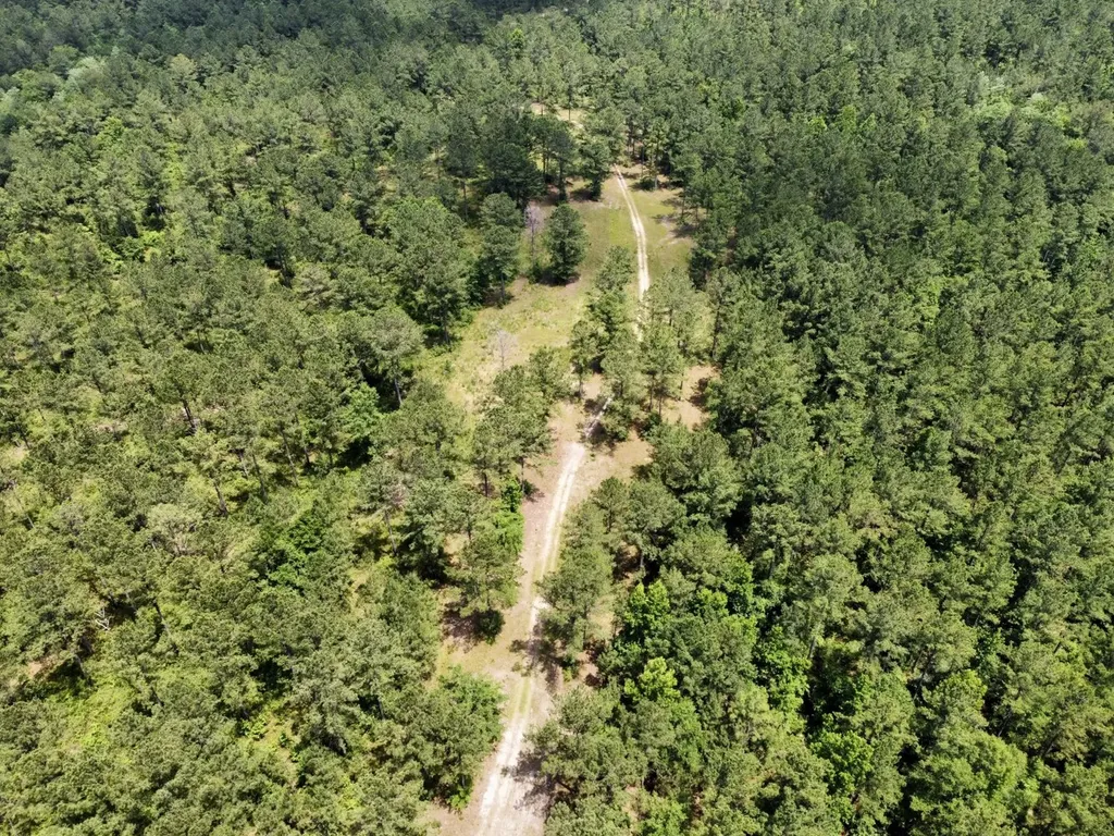 0 Highway 59 Stockton AL 36507