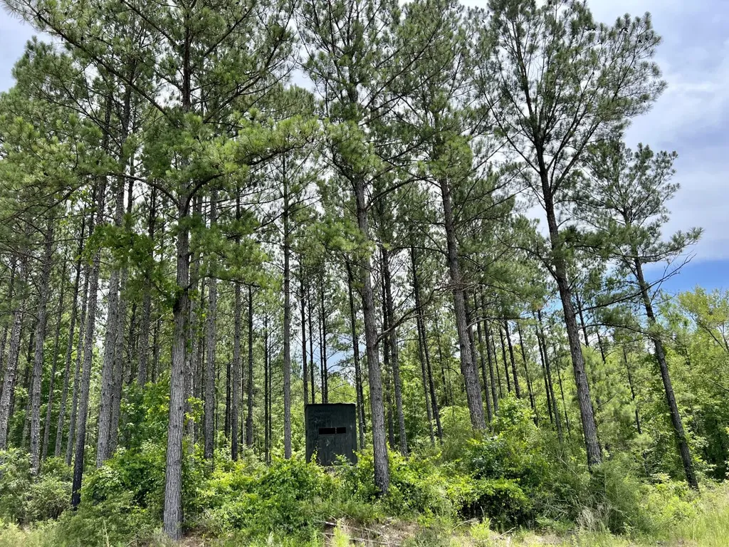 0 Highway 59 Stockton AL 36507