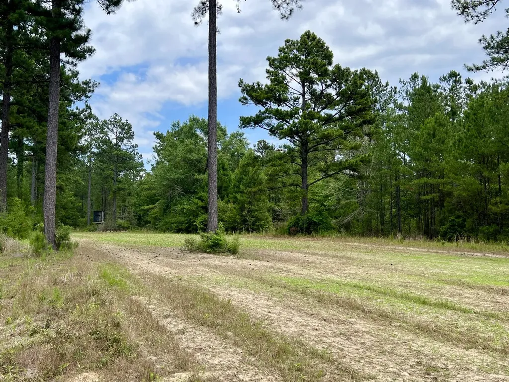 0 Highway 59 Stockton AL 36507