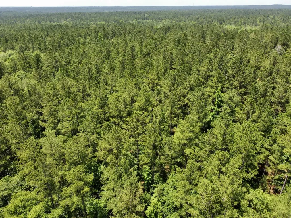 0 Highway 59 Stockton AL 36507