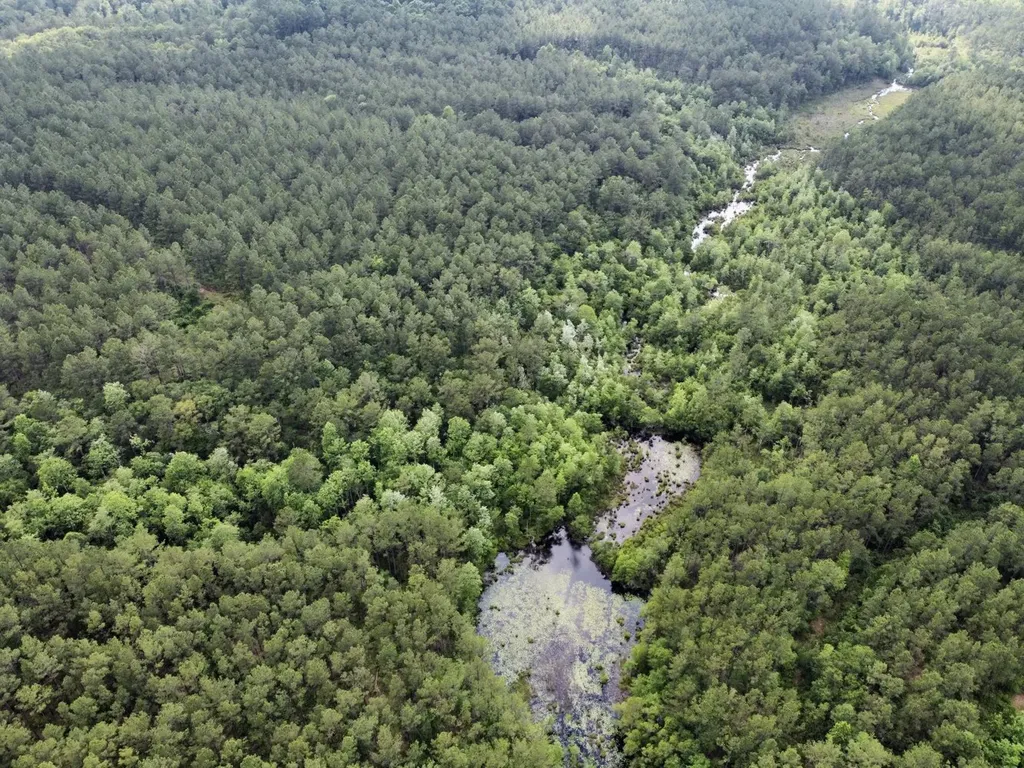 0 Highway 59 Stockton AL 36507