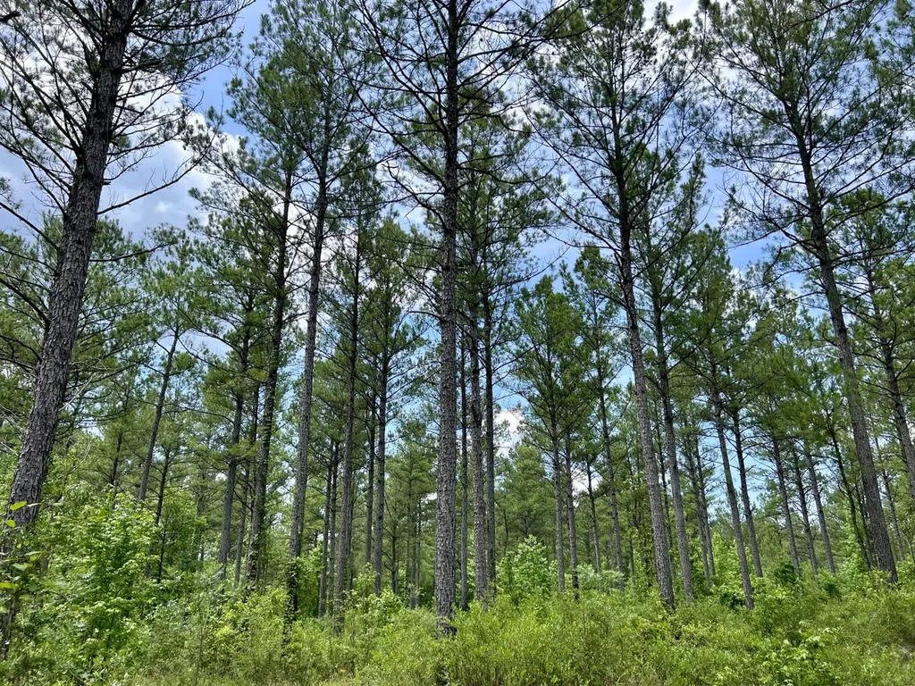 0 Highway 59 Stockton AL 36507