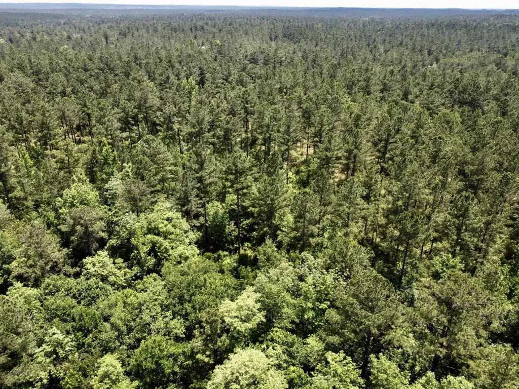 0 Highway 59 Stockton AL 36507