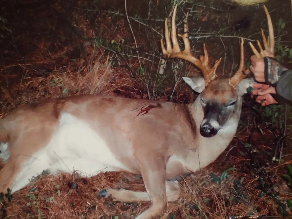 0 Highway 59 Stockton AL 36507