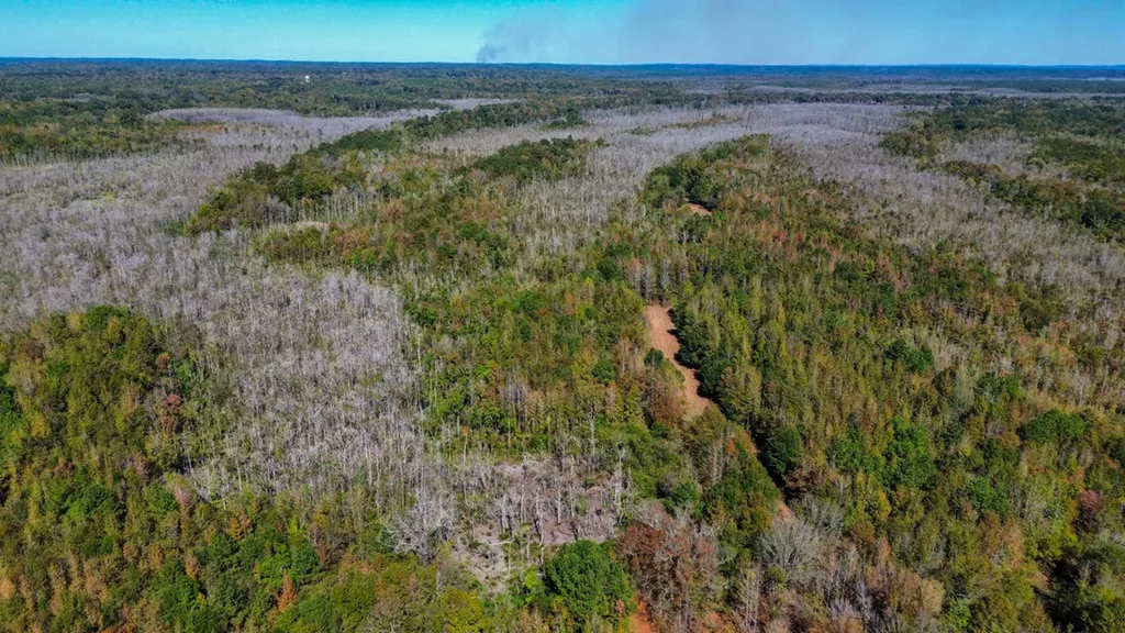 0 Hwy 14 E Selma AL 36701