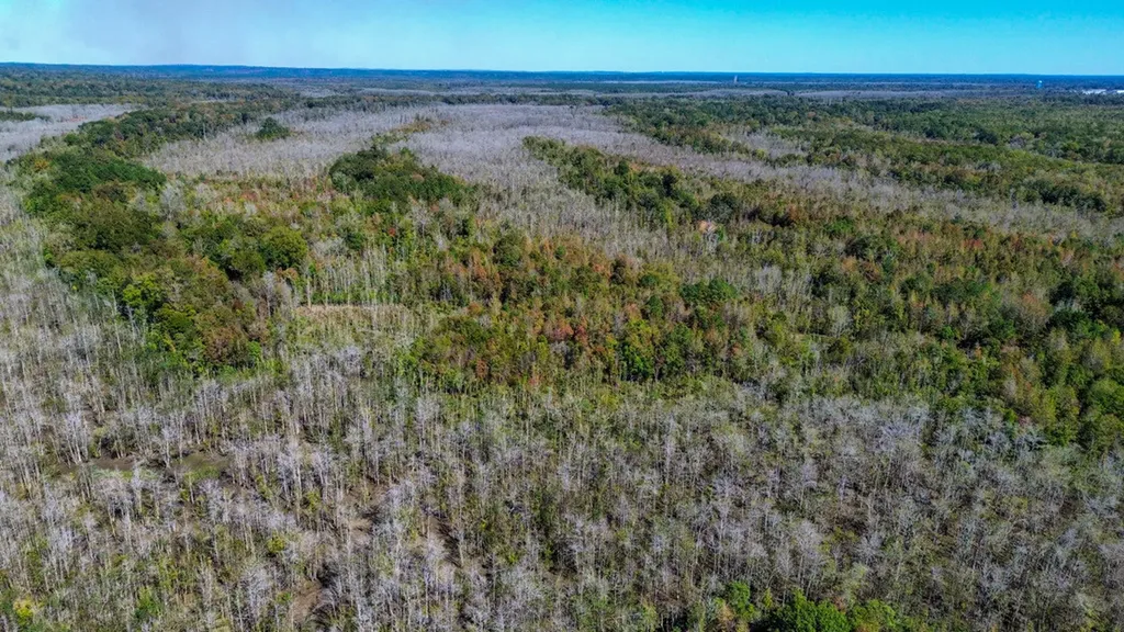 0 Hwy 14 E Selma AL 36701