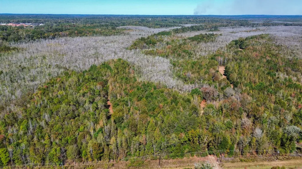 0 Hwy 14 E Selma AL 36701