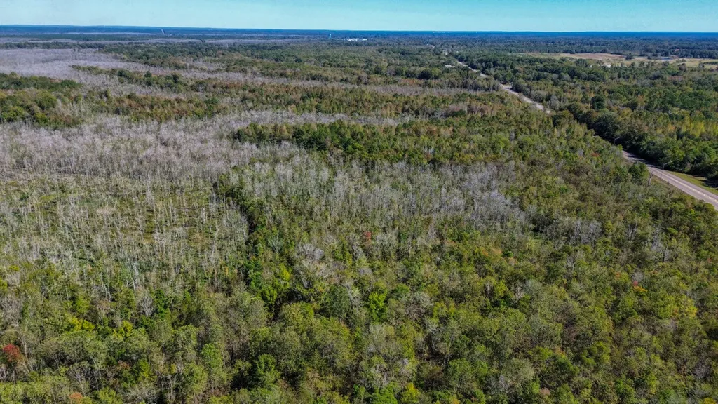 0 Hwy 14 E Selma AL 36701